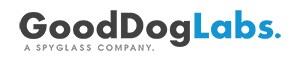 GDL_Splyglass_Logo - 300 pixels